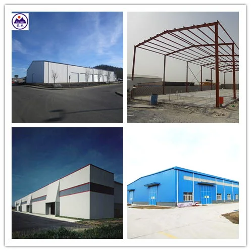 Prefabricated Shed Tool Storage (TW728J)